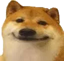 Happy Doge Discord Emoji