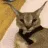 floper