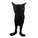 catjam Discord Emoji