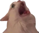 cryscream cryscream