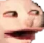 HTVN_CatHeh