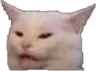 WehCat