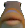 NW_manwhat