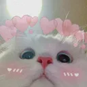 TH_CattieBlush