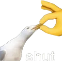 shut