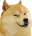 evildoge