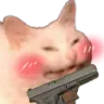 cat_gun