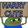 harrycute