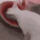 melon melon