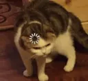 qqq