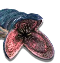 Worm2