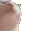 vibecat