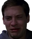 SM_TobeyCry SM_TobeyCry