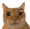 ABccaniseeyourballsfrown