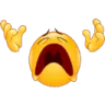 noooooo noooooo