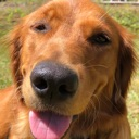 exclusive_dog Discord emoji