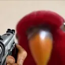 birb_gun birb_gun