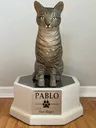 pablo