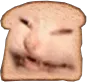 pfp_catbread pfp_catbread