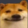 doge