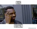 BigBrain