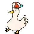 duck duck