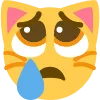 5846sadcat Discord Emoji
