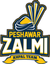 zalmi Discord emoji