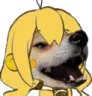jotge