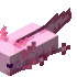 axolotl_2