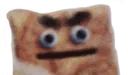 toast toast