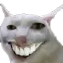XD