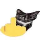 catFuckYou catFuckYou