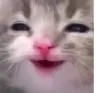 catsmirk