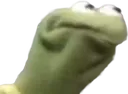 KermitDeathStare