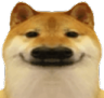 dogsmirkW Discord emoji