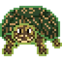 BoxTurtle BoxTurtle