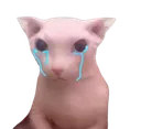 bingussob
