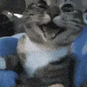 carsmile