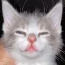 emoji_17