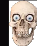 manimdead