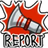 Report Report