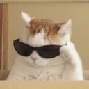 nya_sunglasses nya_sunglasses