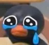 pingoutriste pingoutriste