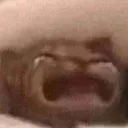 crycat
