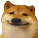 dogeSmug