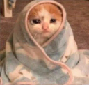 c_cry