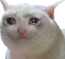 upsetkitty Discord emoji