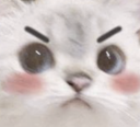TH_angrykitty Discord emoji