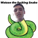 povwatsonsasnake